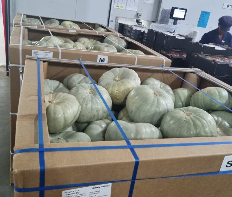 Cold Storage Transport in Marister